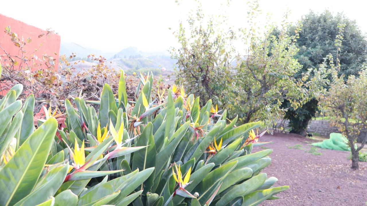 Casa Rural En San Mateo Las Palmas de Gran Canaria Exterior photo